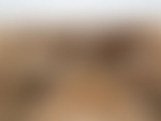 Import Detoxified Castor Seed Meal for Animal Feed: Complete Buyer Guide for Feed Importers