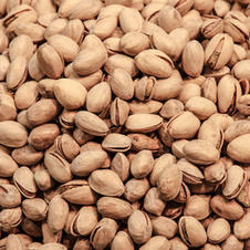 Premium Quality Pistachios international broker - Agriprime 