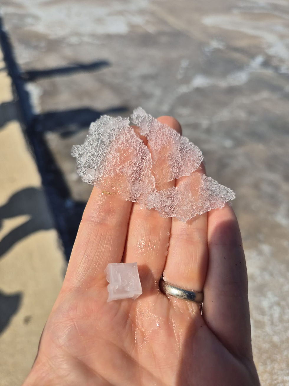 Ekologiška druskos gėlė "Fleur de sel"