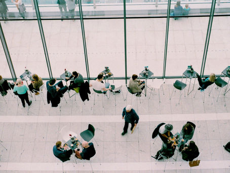 Management plurale: Diversità individuali e strategie organizzative