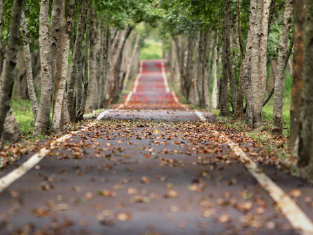 Women’s Career: The Long Road - All you need to know to succeed