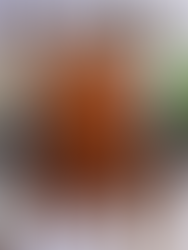 shein curve+ haul (10.10.23)