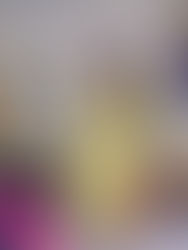 asoph new arrivals (06.16.22)