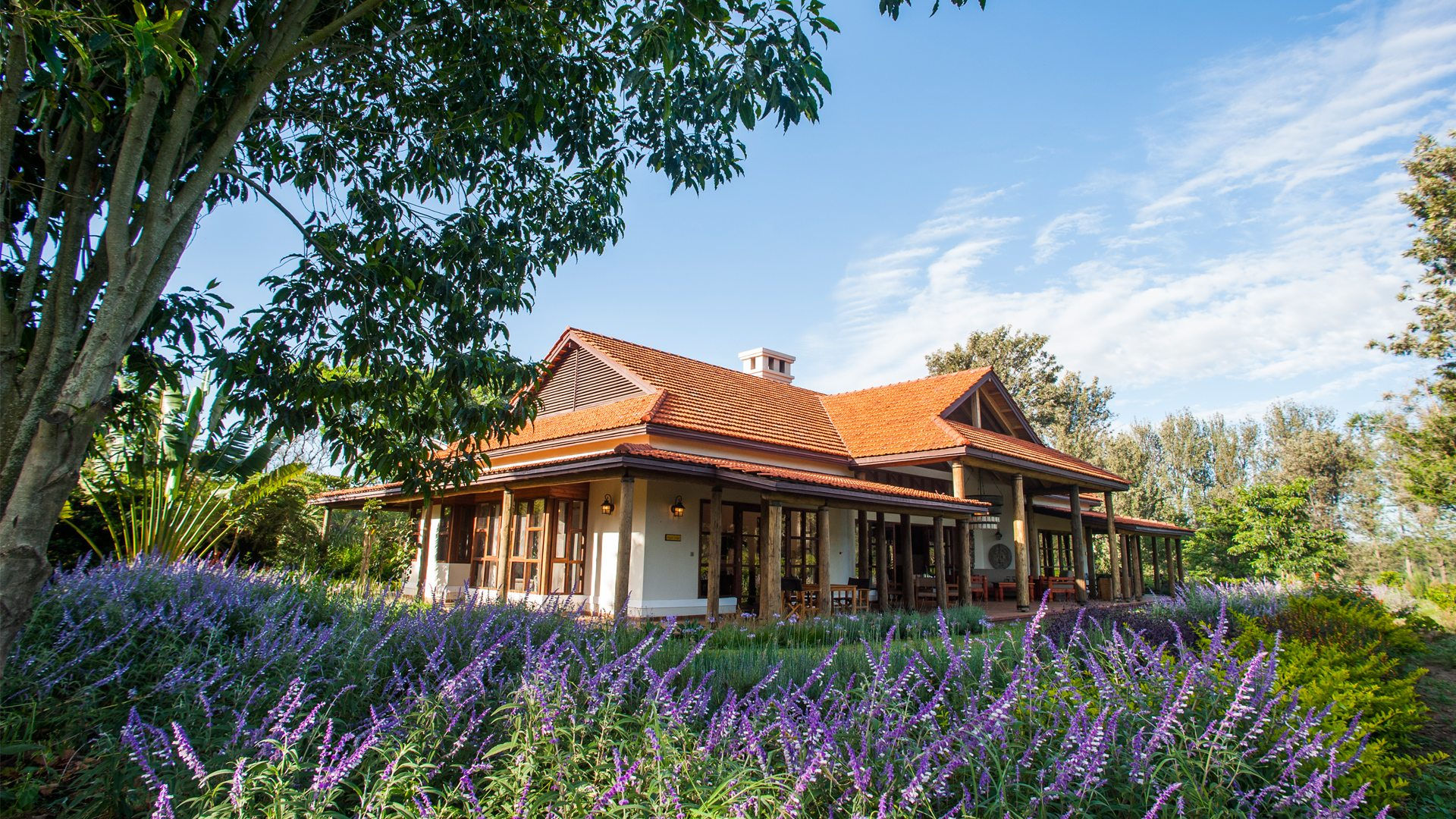 Legendary Lodge Arusha