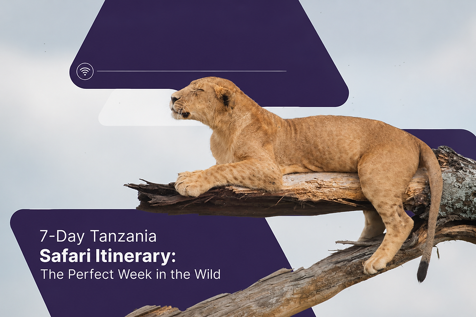 7-Day Tanzania Safari Itinerary: The Perfect Week in the Wild