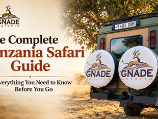 The Complete Tanzania Safari Guide: Everything You Need to Know Before You Go