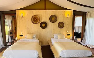 Tamu Tamu Tented Camp: Luxury Serengeti Safari | Gnade Safaris