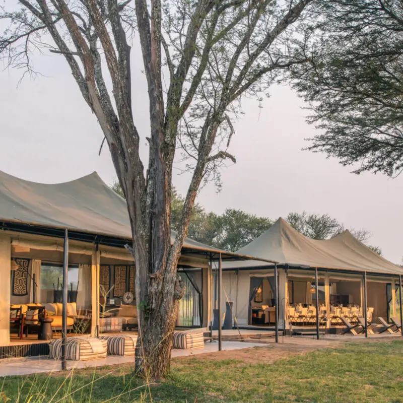 Olakira Camp One of Budget Safari Accommodations | 