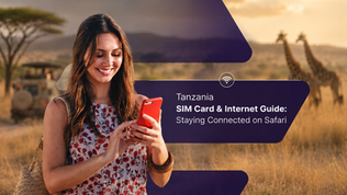 Tanzania SIM Card & Internet Guide
