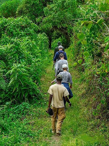 Image by Uzuri Safaris Tanzania