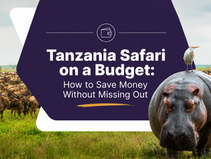 Tanzania Safari on a Budget