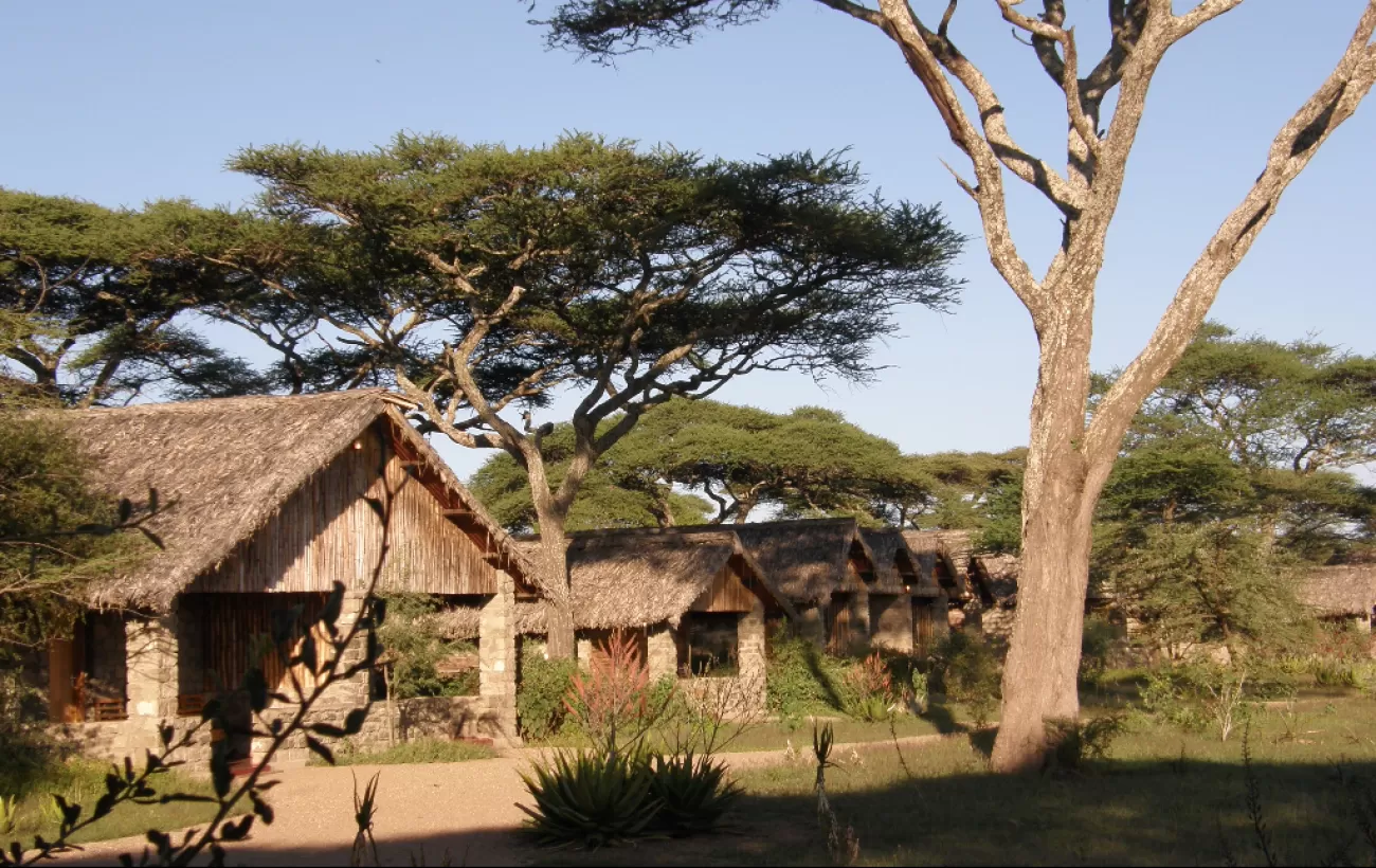 One of Budget Safari Accommodations