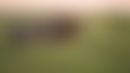 5 Day Tanzania Safari Tour