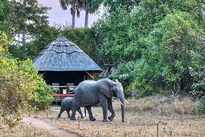 Image by Uzuri Safaris Tanzania