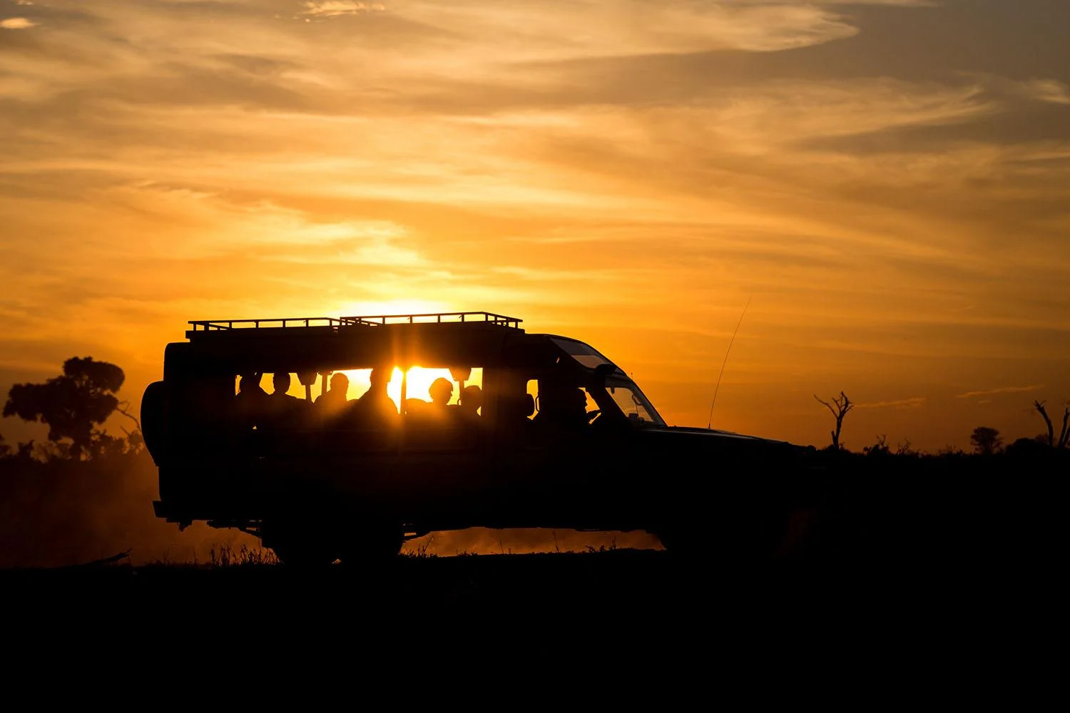 Night Game Drive in Tarangire