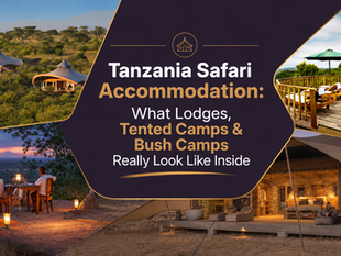 Tanzania Safari Accommodation: What Lodges, Tented Camps & Bush Camps Really Look Like Inside