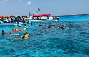 Mnemba Atoll Snorkeling