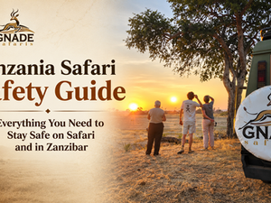 Tanzania Safari Safety Guide