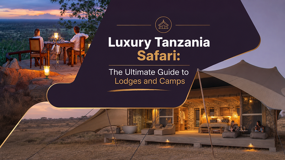 Luxury Tanzania Safari