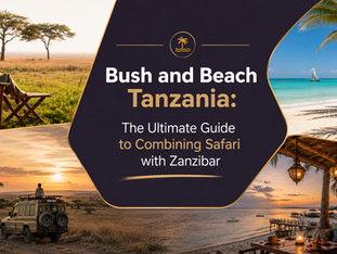 Bush and Beach Tanzania: The Ultimate Guide to Combining Safari with Zanzibar