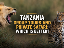 Tanzania Group Tours and Private Safari : Which Is Better?