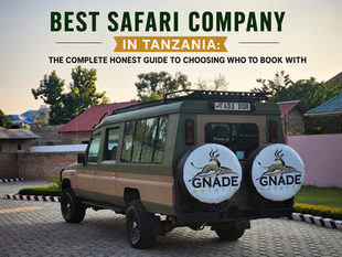 Car Ready for Safari : Best Safari Company in Tanzania