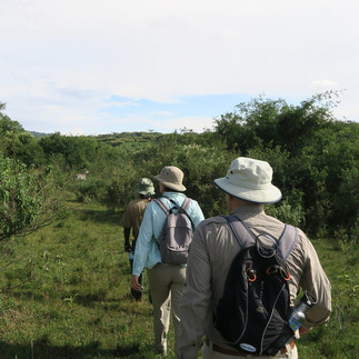 Ngorongoro Crater Rim Walk