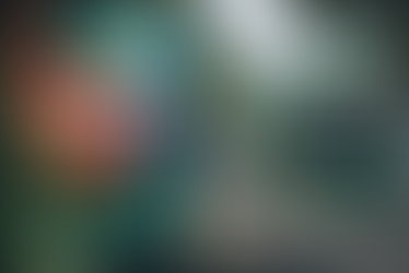 MARCHÉ LOCAL : pourquoi les marques réunionnaises doivent changer de "logiciel"