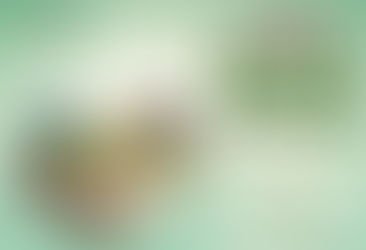 Foire de Bras-Panon : au cœur du climat, au cœur de la comm' !