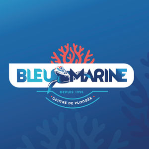 BLEU MARINE IDENTITÉ VISUELLE