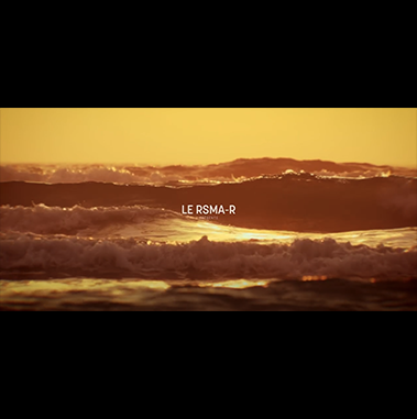 Micro Livingstone-1.png