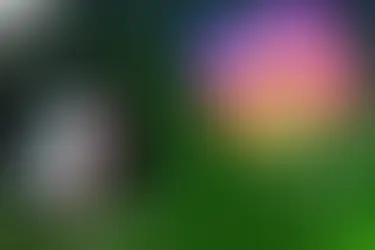 Comment TikTok Veut Concurrencer Instagram en Misant sur les Photos ?