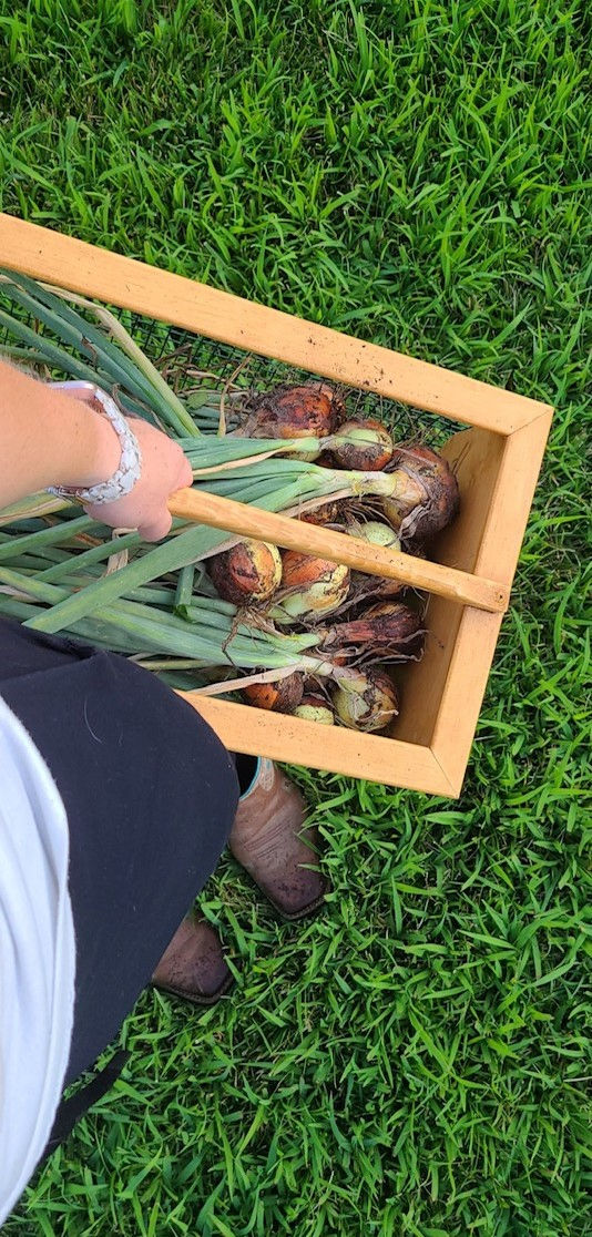 Thumbnail: Garden Hod - Small