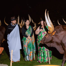 <p class="font_8">To conclude Sunrun’s visit in Rwanda, Mighty Engineering hosted an unforgettable cultural evening showcasing Rwanda’s traditional dances, and majestic Inyambo cows.</p>
<p class="font_8"><br></p>