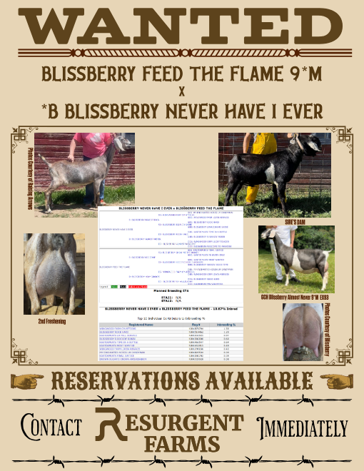 Breeding Announcement - Flame.png