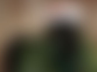 Black goat wearing a Santa hat and a green wreath.