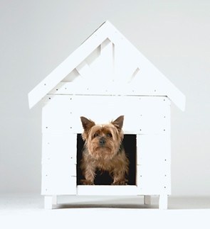 Dog House