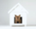 Dog House
