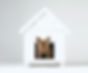 Dog House