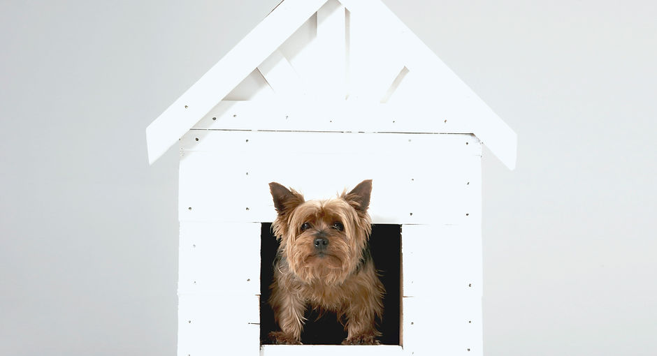 Dog House
