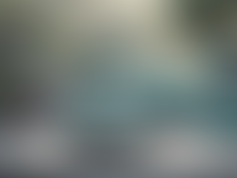 Effective Mindfulness Techniques for Veterinary Professionals