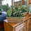 Thumbnail: ARTIFICIAL GREENERY IN WICKER BASKET