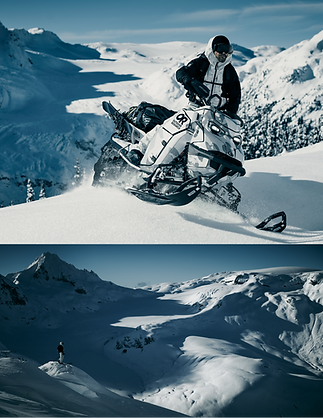 Artboard 2 copy 2_1200x.PNG