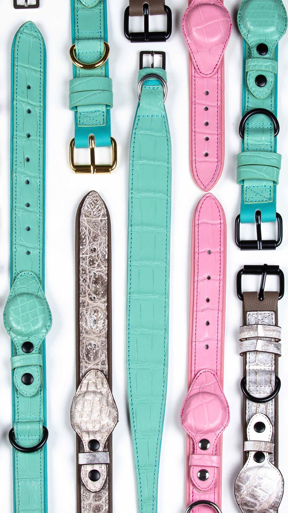 Discover Luxury Dog Accessories Online