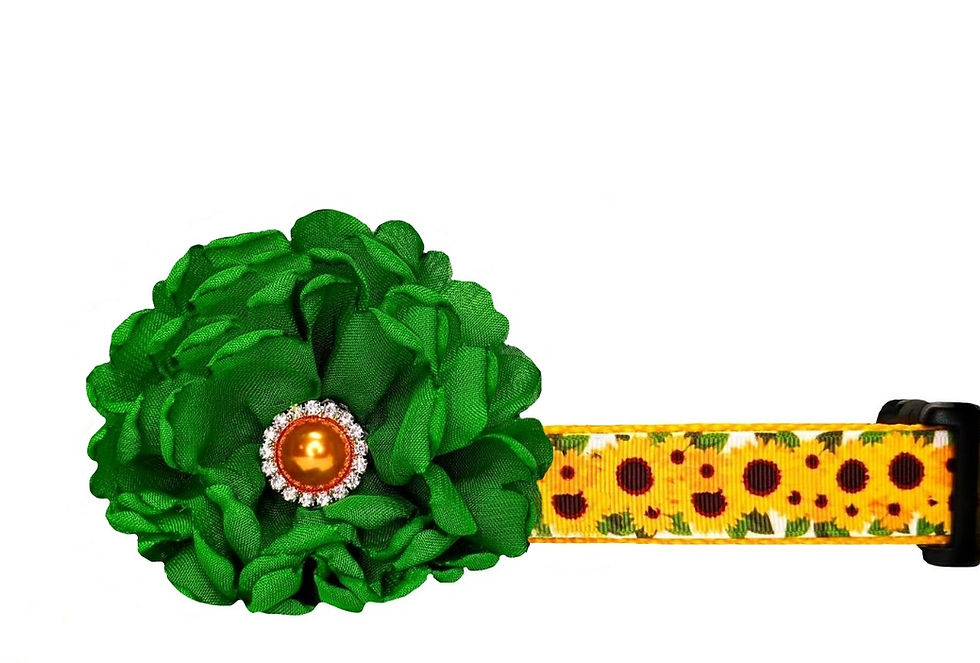Sunflower Dog Collar