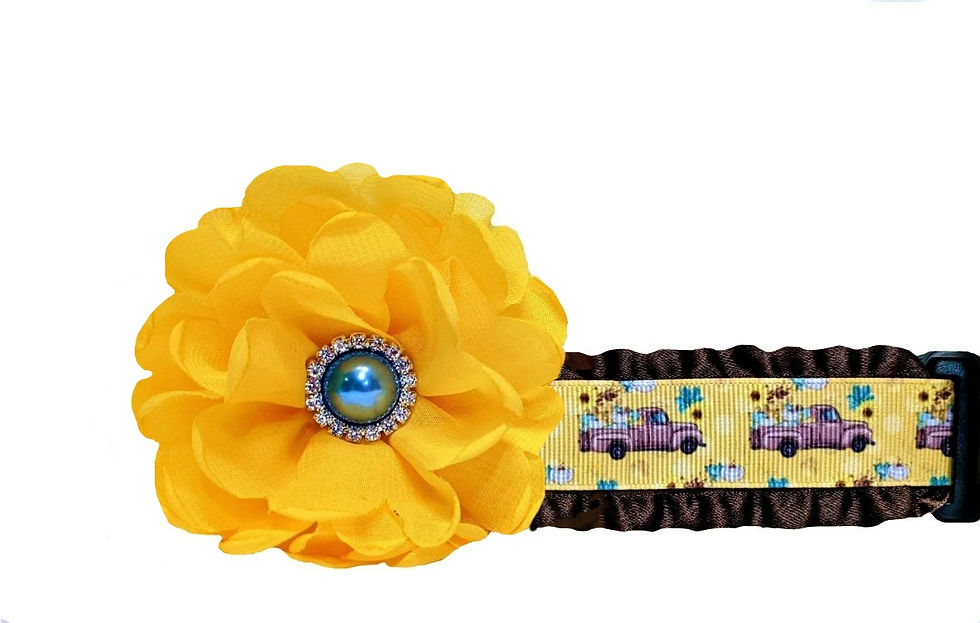 Fall Antique Truck Dog Collar