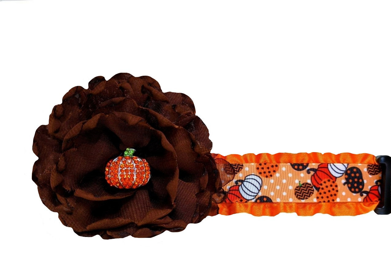 Pumpkins Fall Dog Collar