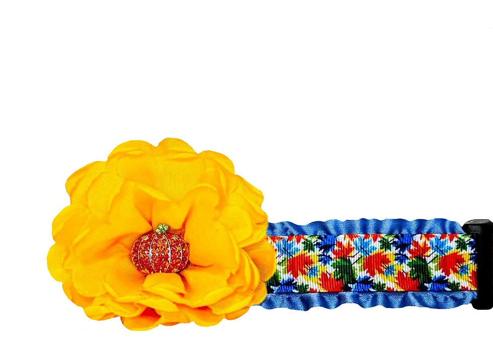 Fall Leaves Dog Collar