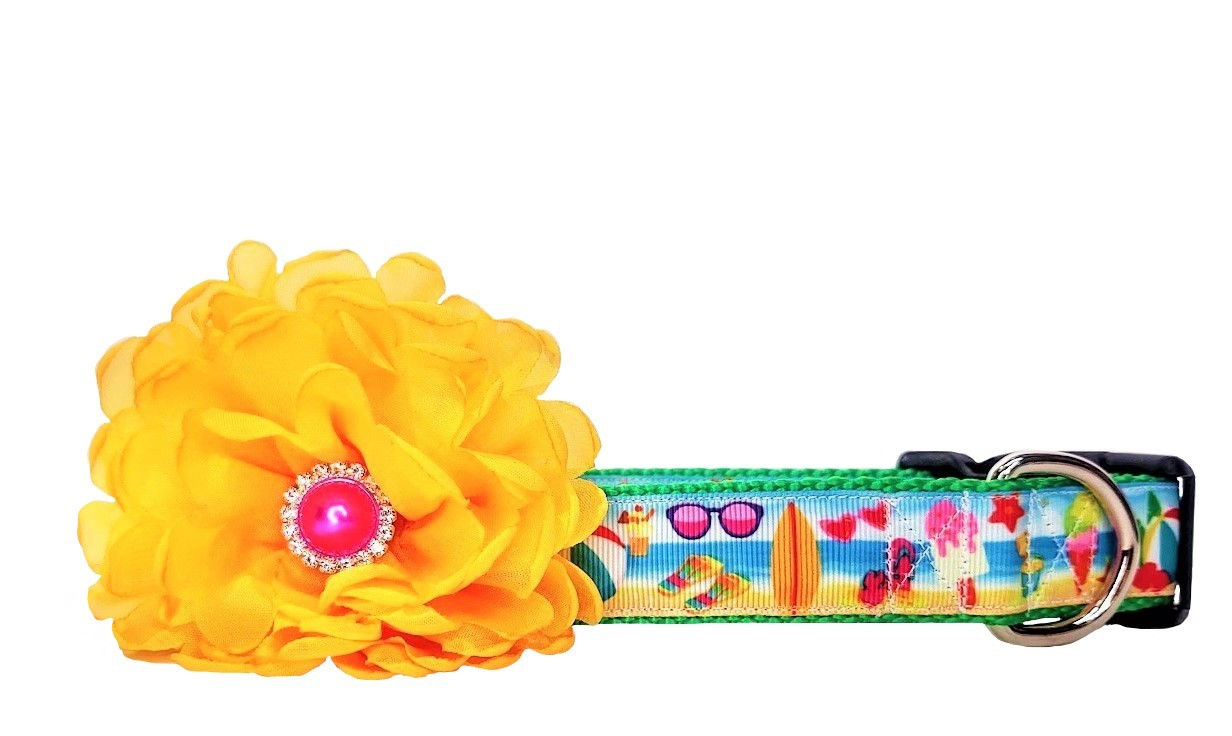 Beach Party Dog Collar