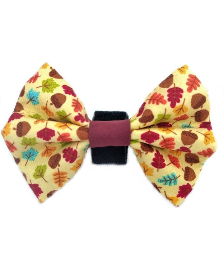 Fall Leaves - Dog Bow Tie